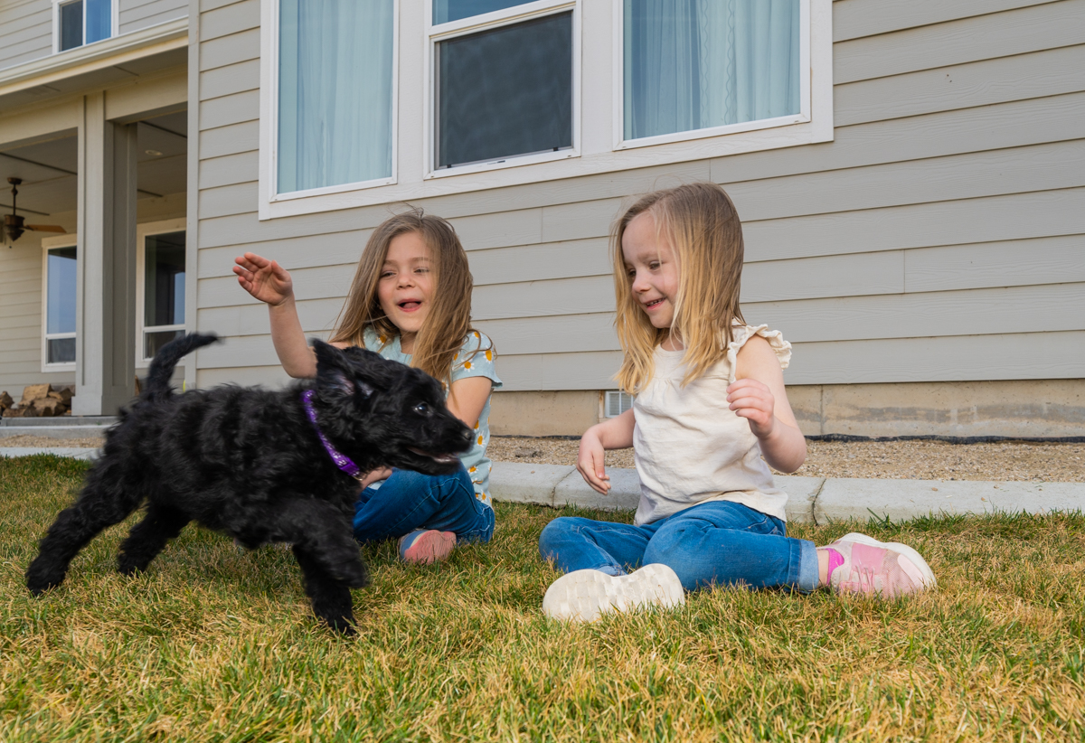 Two girls playing with a dog