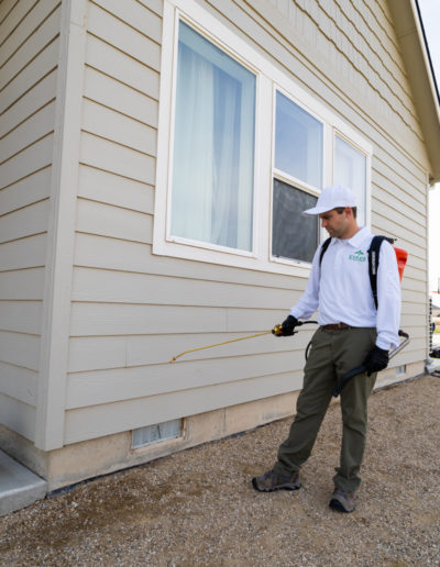 Evade Pest Management technician spraying exterior of a home