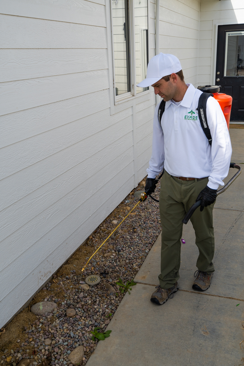 Evade Pest Management technician spraying exterior Meridian Idaho residence for bugs