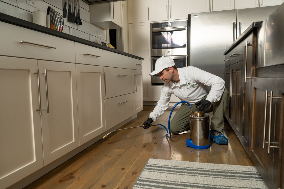 Evade Pest Management technician spraying kitchen for bugs