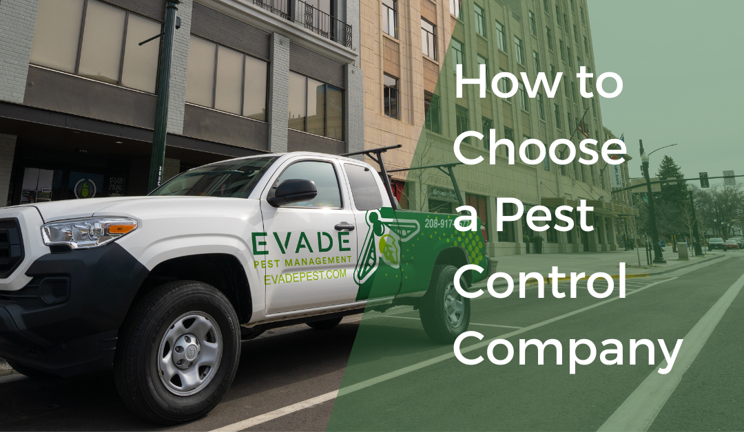 how to choose a pest company